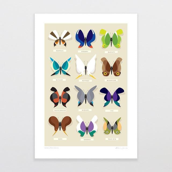 Rare Specimens A4 Print