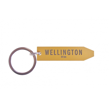 Give Me a Sign Keyring Wellington