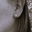 Manuka Flower Studs