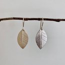 Petite Leaf Earrings Silver