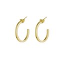 Hoop Stud Earrings Small Gold Plate