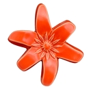 Wall Flower Clematis Orange
