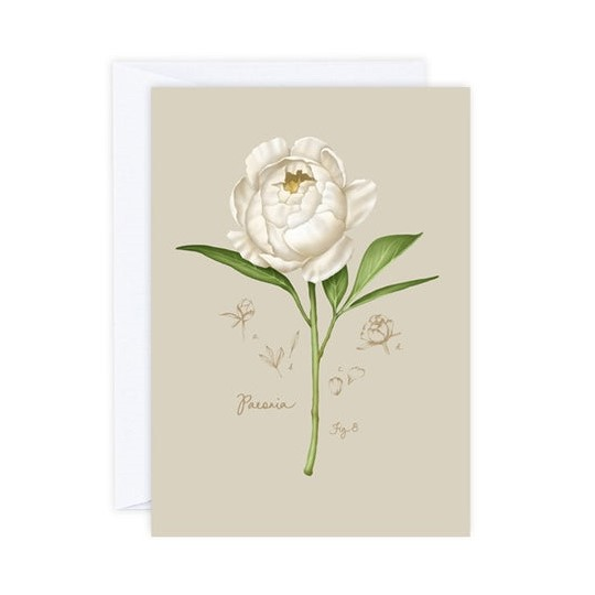 Peony Card