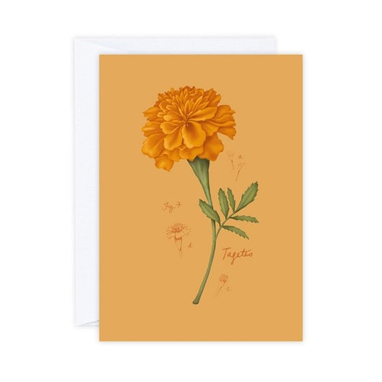 Marigold Card