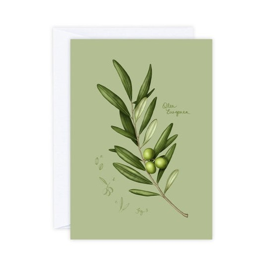 Olive Leaves Card