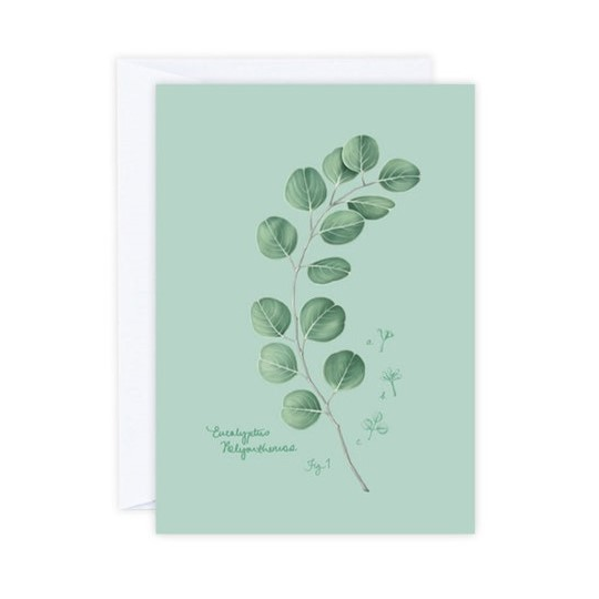 Eucalyptus Card