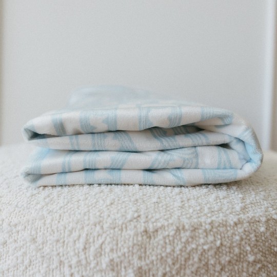 Minky Aio Blue Toddler Blanket