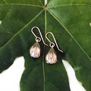 Pearl Blossom Earrings Gold Plate