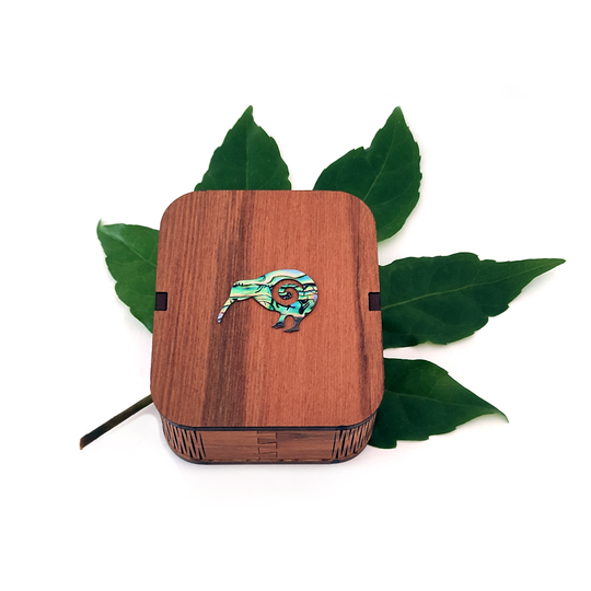 Something Special Box Kiwi Paua Large