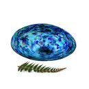 Glass Paua Shell Bowl Medium