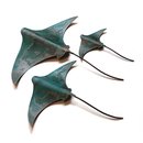 Set of 3 Stingrays