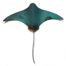 Single Stingray XL-artists-and-brands-The Vault