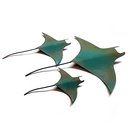 Set of 3 Manta Rays