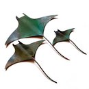 Set of 3 Manta Rays
