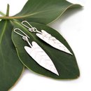 Philodendron Leaf Earrings