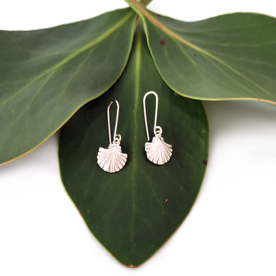 Scallop Shell Earrings