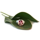 Insignia Round Ring Silver Synthetic Sapphire Pink