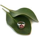 Insignia Round Ring Silver Synthetic Sapphire Pink