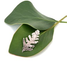 Leaf Imprint Pin Silver-jewellery-The Vault