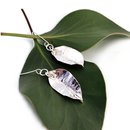 Mediuml Autumn Leaf Earrings Silver