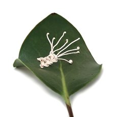 Weaving Pin Silver-jewellery-The Vault