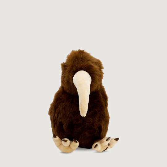 Barry the Brown Kiwi