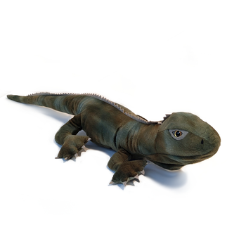 Trevor the Tuatara