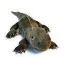 Trevor the Tuatara
