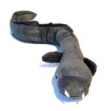 Ellie the Longfin Eel-lifestyle-The Vault