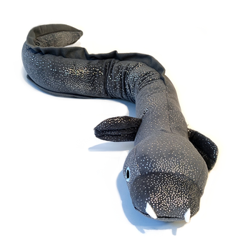 Ellie the Longfin Eel