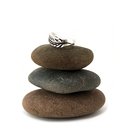 Fern Twist Band Silver