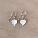 Silver Kawakawa Earrings Small