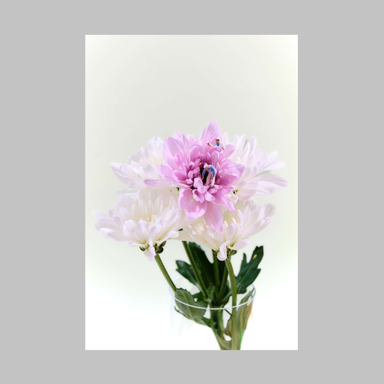 Pink Painters Print Large