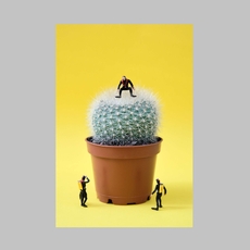 Prickdicament A3 Print-artists-and-brands-The Vault