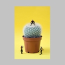 Prickdicament A4 Print