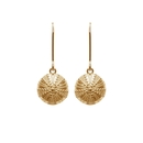 Kina Hooks Earrings Gold Plate