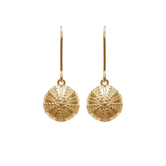 Kina Hooks Earrings Gold Plate