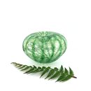 Flamedaisy Glass Kina Style5