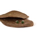 Pounamu Studs Small