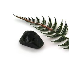 Pounamu Touchstone-pounamu-The Vault
