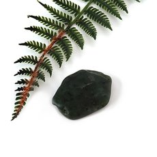 Pounamu Touchstone-pounamu-The Vault