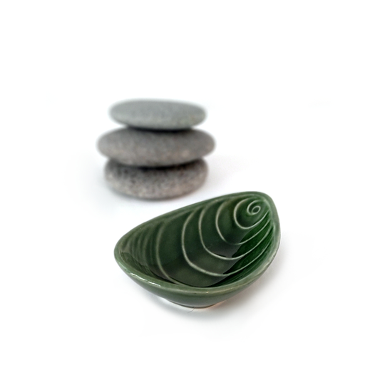 Mussel Shell Dish 8cm Green
