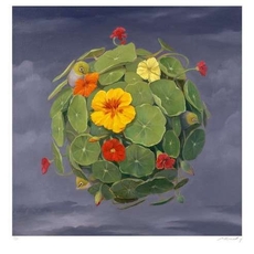 Nasturtium Sphaera Limited Edition Print-artists-and-brands-The Vault