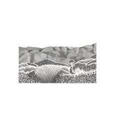 Tararua Ranges A4 Print-artists-and-brands-The Vault