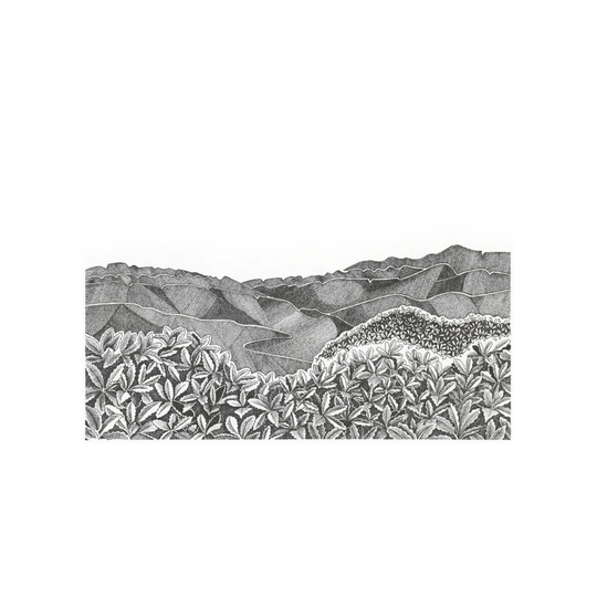 Kapakapanui Skyline Tararua Ranges A4 Print