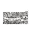 Tararua Ranges A3 Print