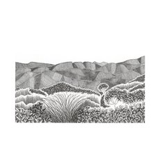 Tararua Ranges A3 Print-artists-and-brands-The Vault
