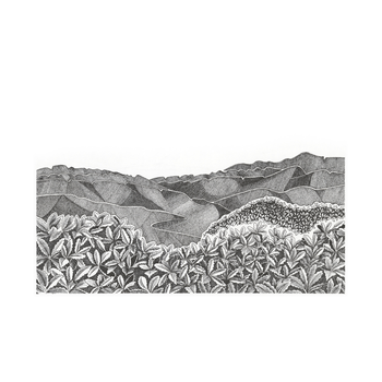 Kapakapanui Skyline Tararua Ranges A3 Print