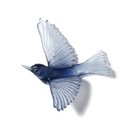 Cast Glass Silvereye Steel Blue