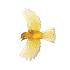 Cast Glass Yellowhead Chardonnay-artists-and-brands-The Vault